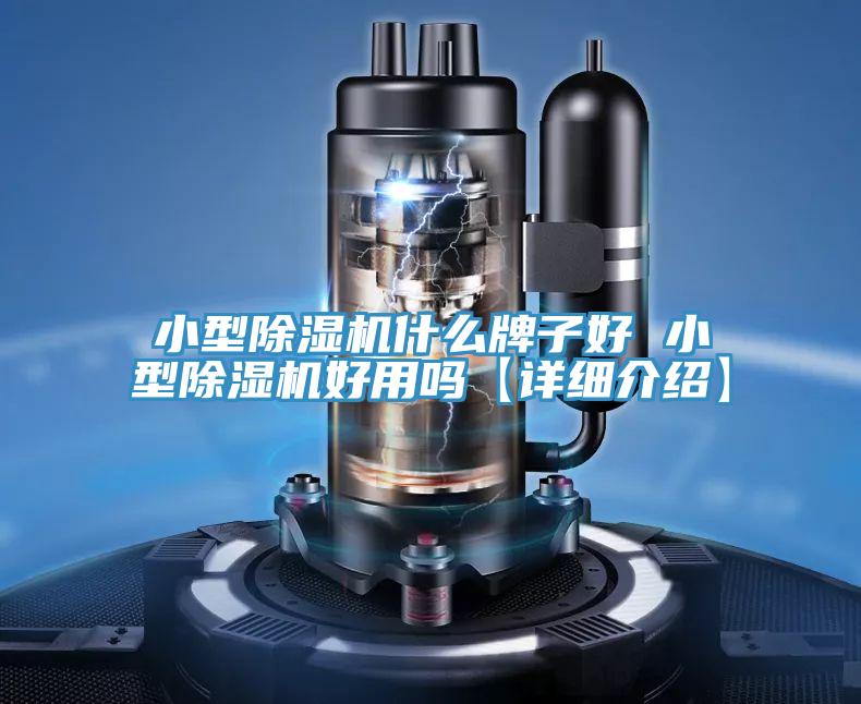 小型除濕機(jī)什么牌子好 小型除濕機(jī)好用嗎【詳細(xì)介紹】