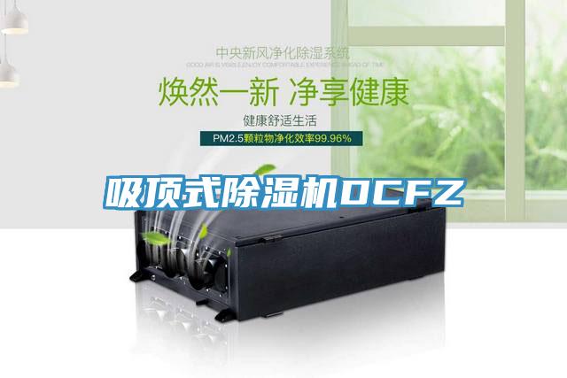 吸頂式除濕機(jī)DCFZ