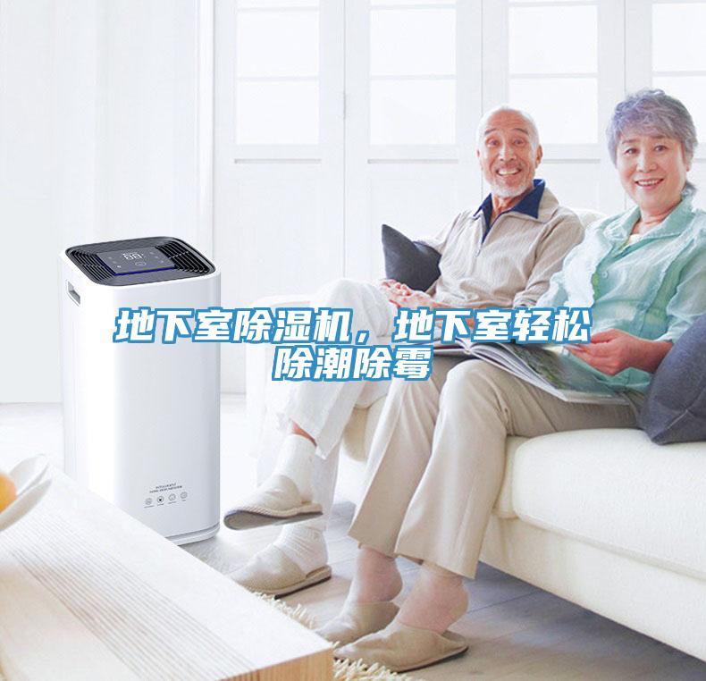 地下室除濕機(jī)，地下室輕松除潮除霉
