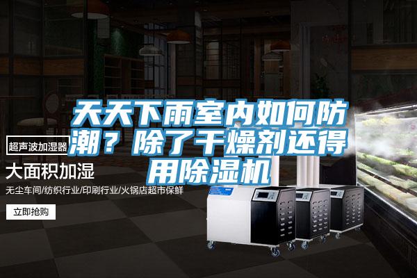 天天下雨室內(nèi)如何防潮？除了干燥劑還得用除濕機(jī)