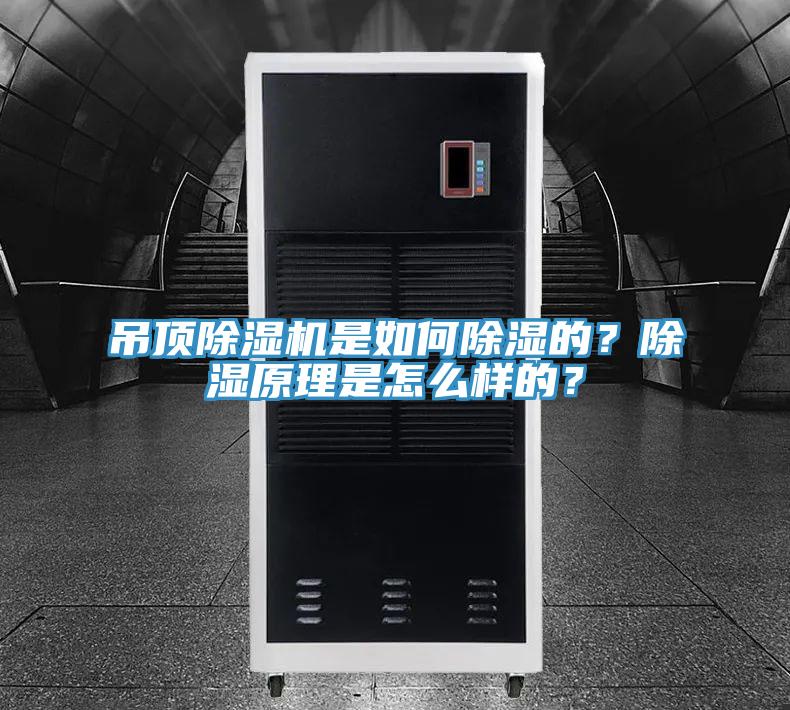吊頂除濕機是如何除濕的？除濕原理是怎么樣的？