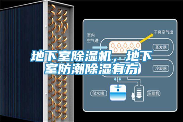 地下室除濕機(jī)，地下室防潮除濕有方