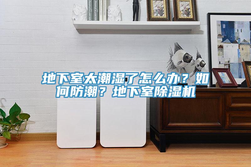 地下室太潮濕了怎么辦？如何防潮？地下室除濕機