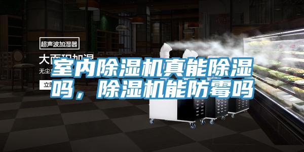 室內(nèi)除濕機(jī)真能除濕嗎，除濕機(jī)能防霉嗎