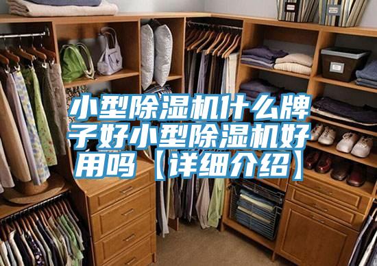 小型除濕機(jī)什么牌子好小型除濕機(jī)好用嗎【詳細(xì)介紹】