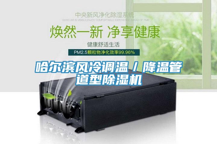 哈爾濱風(fēng)冷調(diào)溫／降溫管道型除濕機(jī)