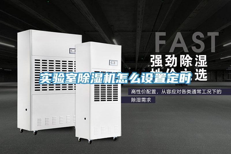 實(shí)驗(yàn)室除濕機(jī)怎么設(shè)置定時(shí)