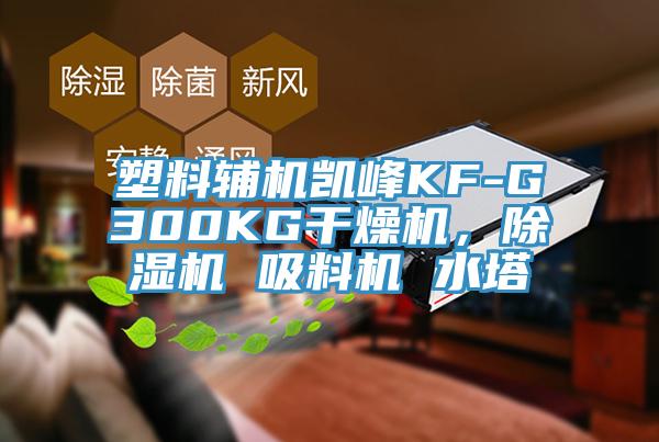 塑料輔機凱峰KF-G300KG干燥機，除濕機 吸料機 水塔