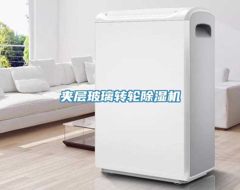 夾層玻璃轉(zhuǎn)輪除濕機(jī)