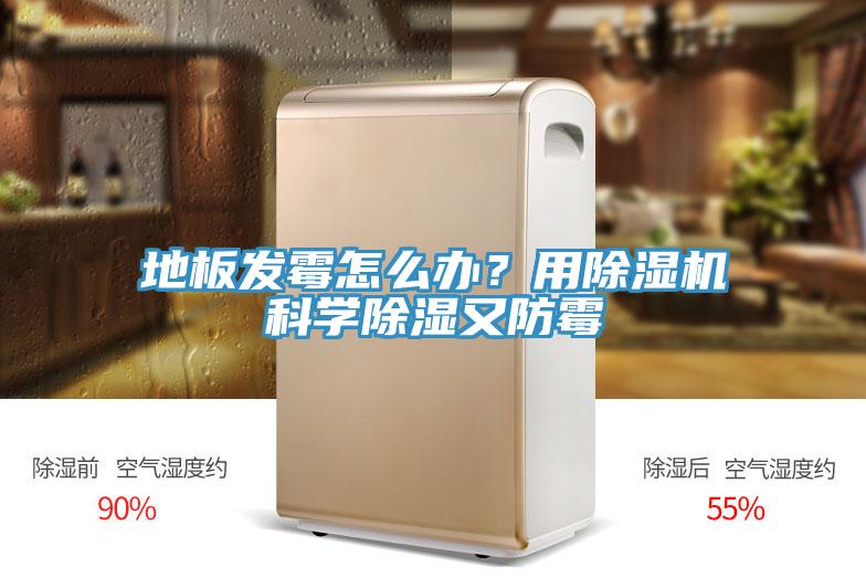 地板發(fā)霉怎么辦？用除濕機科學除濕又防霉