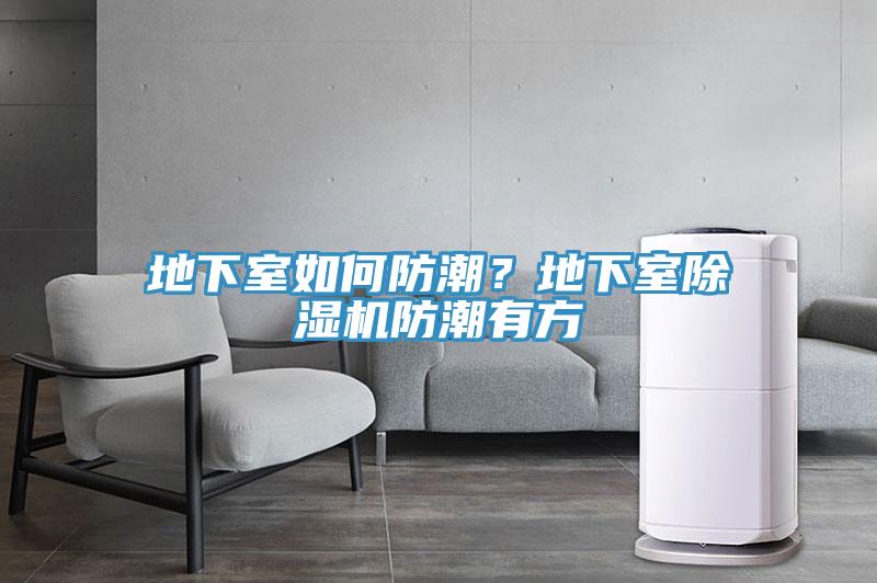 地下室如何防潮？地下室除濕機防潮有方