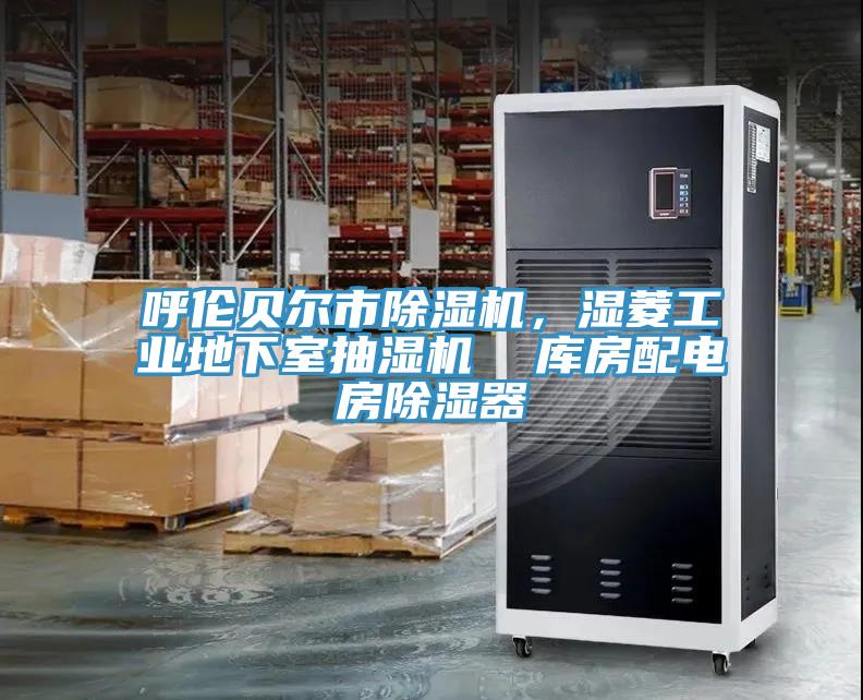 呼倫貝爾市除濕機(jī)，濕菱工業(yè)地下室抽濕機(jī)  庫(kù)房配電房除濕器