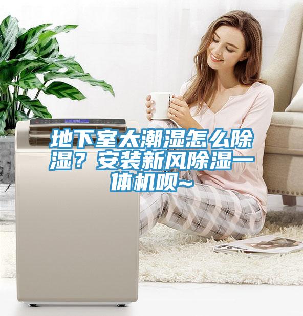 地下室太潮濕怎么除濕？安裝新風(fēng)除濕一體機(jī)唄~