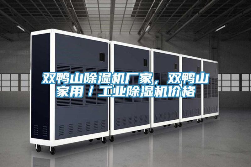 雙鴨山除濕機廠家，雙鴨山家用／工業(yè)除濕機價格