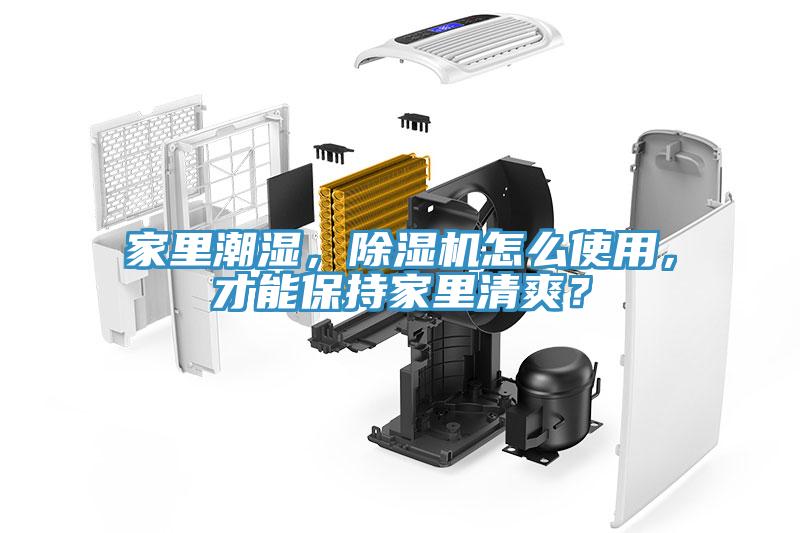 家里潮濕，除濕機(jī)怎么使用，才能保持家里清爽？