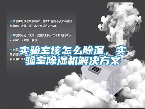 實(shí)驗(yàn)室該怎么除濕，實(shí)驗(yàn)室除濕機(jī)解決方案