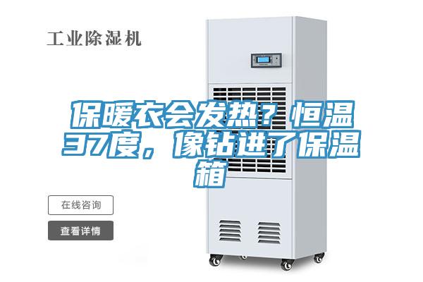 保暖衣會(huì)發(fā)熱？恒溫37度，像鉆進(jìn)了保溫箱