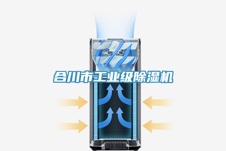 合川市工業(yè)級除濕機(jī)