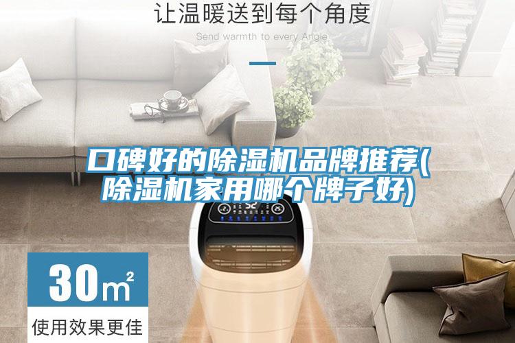 口碑好的除濕機(jī)品牌推薦(除濕機(jī)家用哪個牌子好)