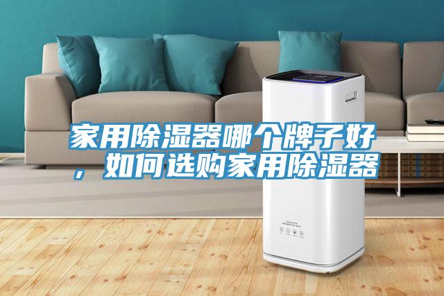 家用除濕器哪個(gè)牌子好，如何選購(gòu)家用除濕器
