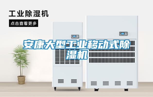 安康大型工業(yè)移動(dòng)式除濕機(jī)