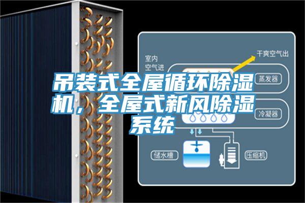 吊裝式全屋循環(huán)除濕機，全屋式新風除濕系統(tǒng)