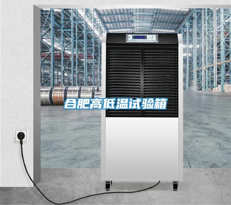 合肥高低溫試驗(yàn)箱