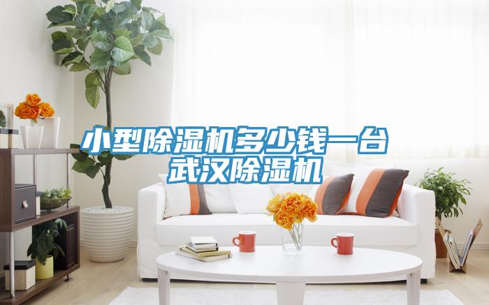小型除濕機(jī)多少錢一臺(tái) 武漢除濕機(jī)