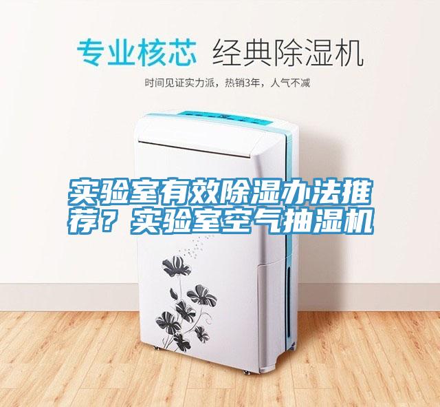 實驗室有效除濕辦法推薦？實驗室空氣抽濕機