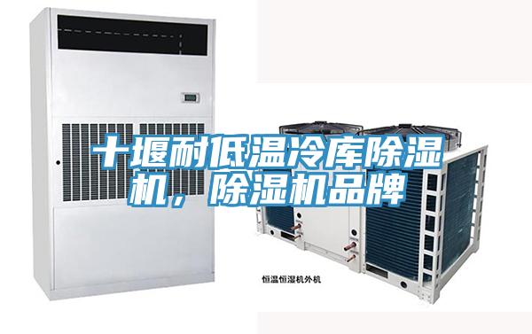 十堰耐低溫冷庫(kù)除濕機(jī)，除濕機(jī)品牌