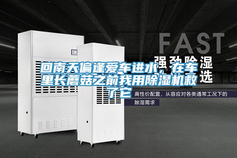 回南天偏逢愛車進(jìn)水，在車?yán)镩L蘑菇之前我用除濕機(jī)救了它