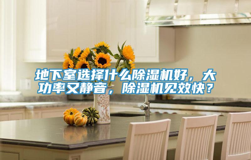 地下室選擇什么除濕機好，大功率又靜音，除濕機見效快？