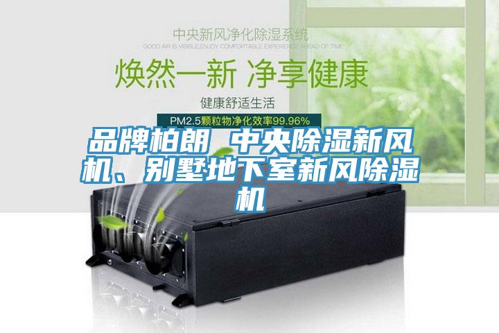 品牌柏朗 中央除濕新風(fēng)機(jī)、別墅地下室新風(fēng)除濕機(jī)