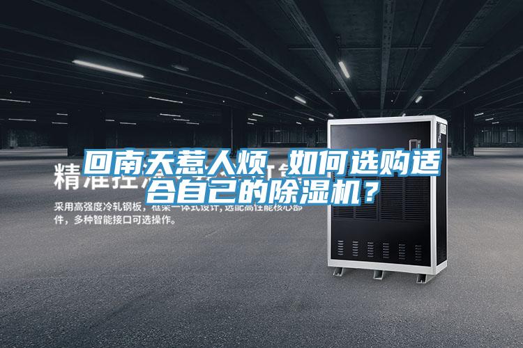 回南天惹人煩 如何選購(gòu)適合自己的除濕機(jī)？