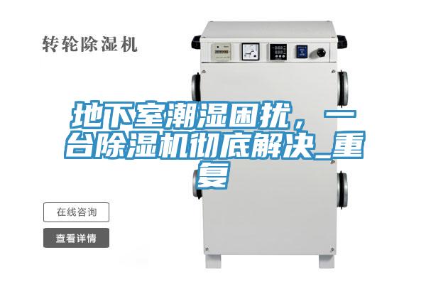 地下室潮濕困擾，一臺除濕機徹底解決_重復