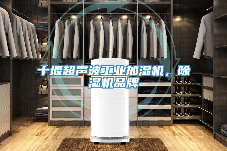 十堰超聲波工業(yè)加濕機(jī)，除濕機(jī)品牌