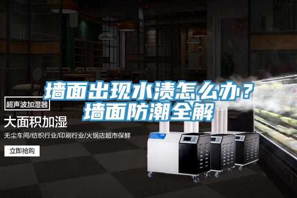 墻面出現(xiàn)水漬怎么辦？墻面防潮全解