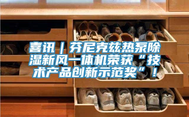 喜訊｜芬尼克茲熱泵除濕新風(fēng)一體機榮獲“技術(shù)產(chǎn)品創(chuàng)新示范獎”！