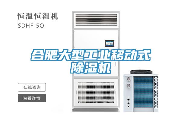合肥大型工業(yè)移動式除濕機(jī)