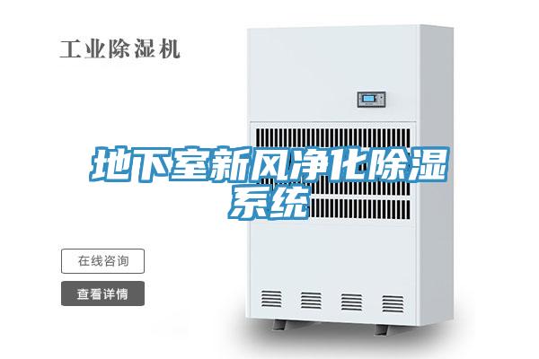 地下室新風凈化除濕系統(tǒng)