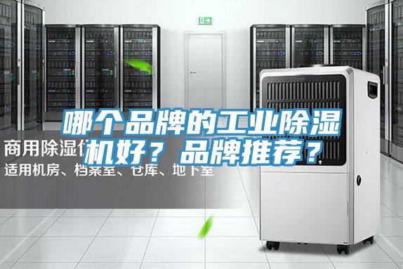 哪個品牌的工業(yè)除濕機(jī)好？品牌推薦？