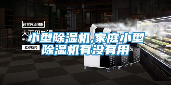 小型除濕機(jī),家庭小型除濕機(jī)有沒有用
