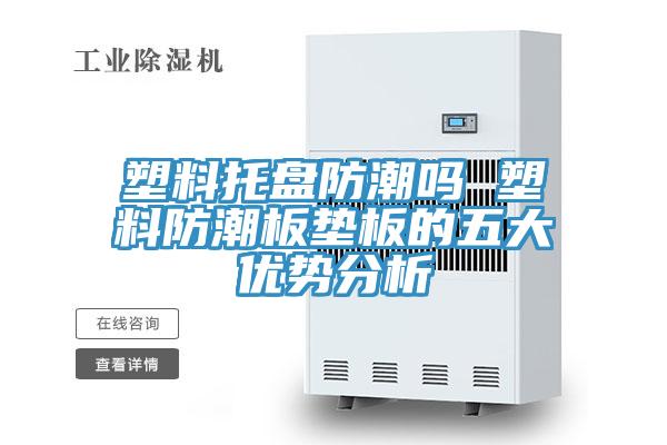 塑料托盤防潮嗎 塑料防潮板墊板的五大優(yōu)勢(shì)分析