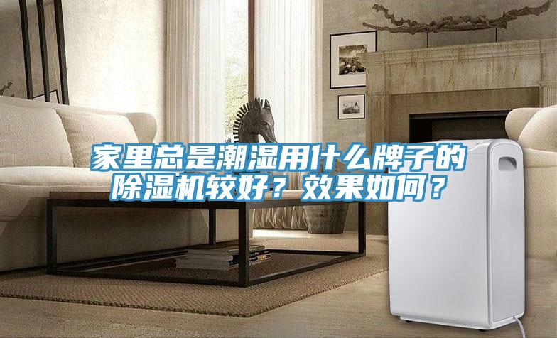 家里總是潮濕用什么牌子的除濕機較好？效果如何？