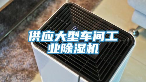 供應(yīng)大型車(chē)間工業(yè)除濕機(jī)