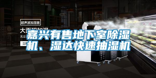 嘉興有售地下室除濕機(jī)、濕達(dá)快速抽濕機(jī)