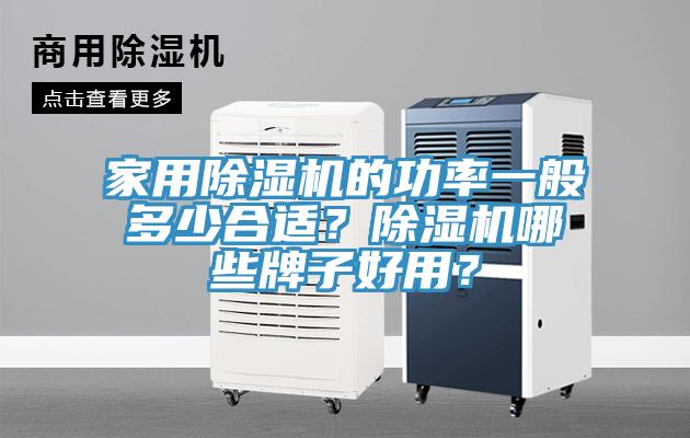 家用除濕機的功率一般多少合適？除濕機哪些牌子好用？