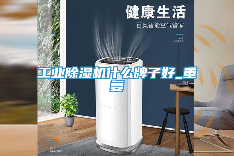 工業(yè)除濕機什么牌子好_重復(fù)