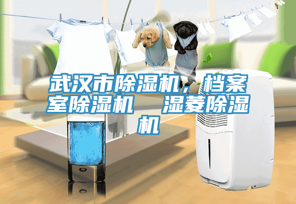 武漢市除濕機(jī)，檔案室除濕機(jī)  濕菱除濕機(jī)