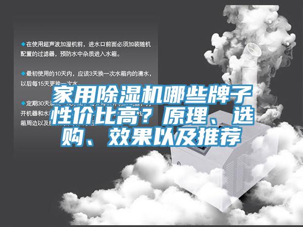 家用除濕機(jī)哪些牌子性?xún)r(jià)比高？原理、選購(gòu)、效果以及推薦